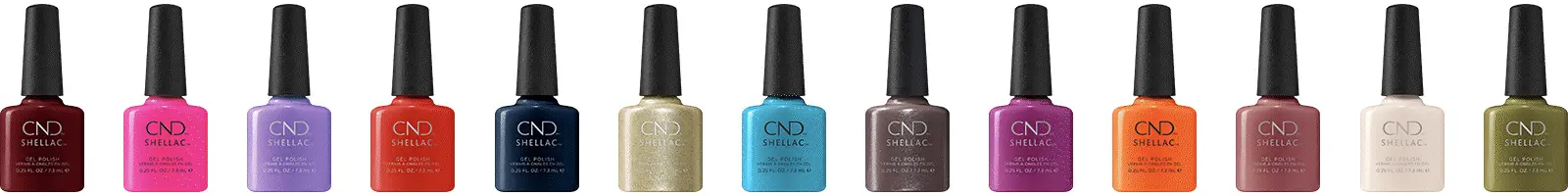 Master the Art of Color